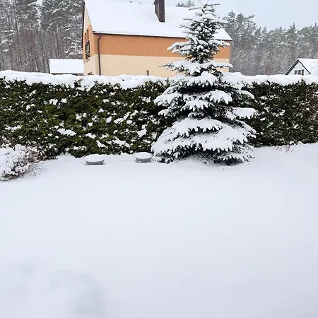 Деревянный коттедж Sabrinka Slajszewo